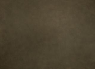 Фото - Ткани Zinc Leather Volume I - 565558>