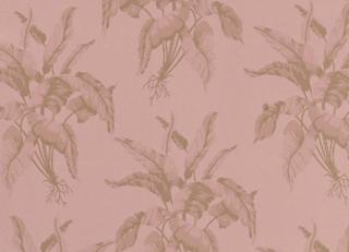 Фото - Обои Equipo DRT Encadenados - 559360>