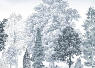 Фото - Обои Loymina Пейзаж 2 - 609820>