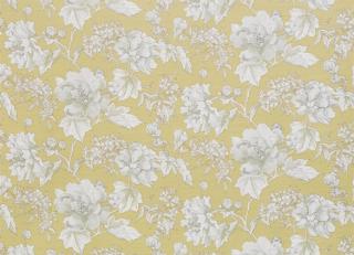 Фото - Ткани Nina Campbell Woodsford - 289217>