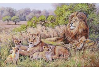 Фото - Обои Ortograf Елена Самарская - 479077>