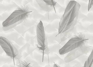 Фото - Обои Shinhan Focus - 554873>