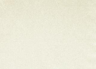 Фото - Ткани Zinc Shadow Mountain - 270931>