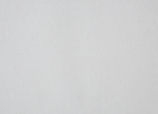 Фото - Обои Caselio Curiosity - 223590>