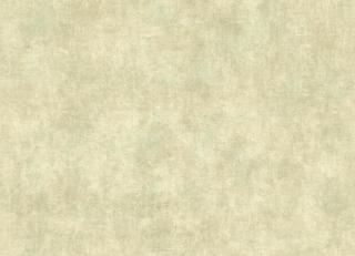 Фото - Обои York Wallcoverings Autumn Dreams - 213635>