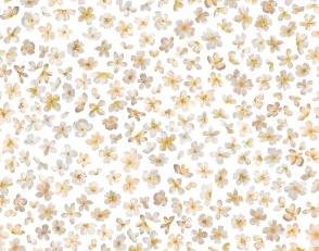 Фото - Виниловые обои детские - 614002>