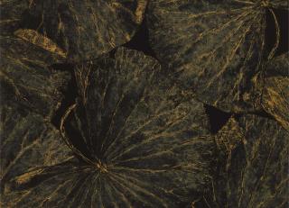 Фото - Обои Zoffany The Muse Wallcoverings - 366893>