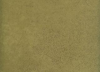 Фото - Обои Elitis Vintage Leather - 262440>