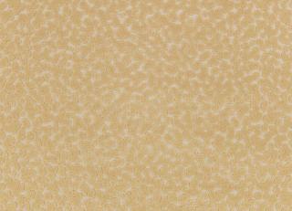 Фото - Ткани Kirkby design Graphic Nature - 606806>