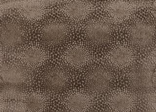 Фото - Ткани Villa Nova Folium - 268943>