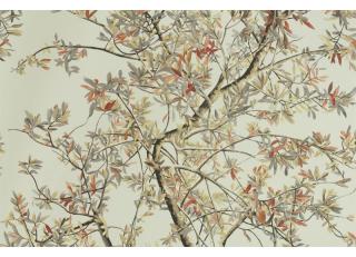 Фото - Ткани Brochier Incontro - 414460>