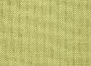 Фото - Ткани Sanderson Arley - 302597>