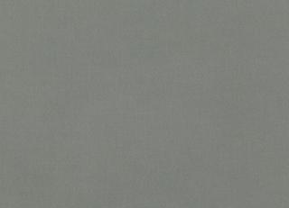 Фото - Ткани Mark Alexander Nuance - 486059>