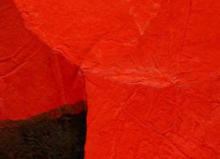 Фото - Обои Elitis Epure - 340457>