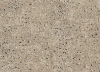 Фото - Обои Khroma Cabinet of curiosities - 508894>