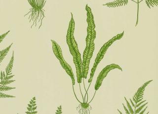 Фото - Обои Sanderson One Sixty Wallpapers - 513782>