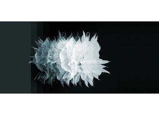 Фото - Обои Wall&Deco CODE 2015 CONTEMPORARY - 463911>