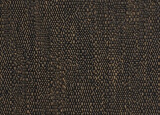 Фото - Ткани Dedar Aoxomoxoa - 630651>