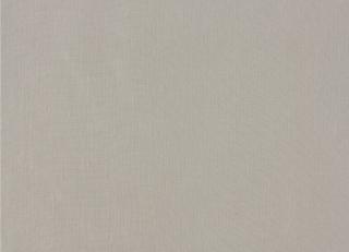 Фото - Ткани Zinc Scandal - 275043>