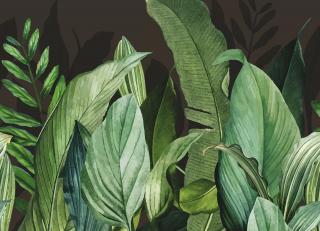 Фото - Обои Hohenberger Tropical - 545126>