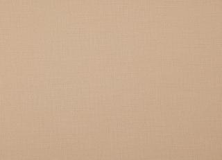 Фото - Ткани Daylight Canvas - 532528>