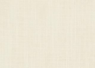 Фото - Ткани Clarke&Clarke Portfolio Plains and Textures - 296909>