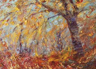 Фото - Обои Ortograf Влад Кравчук - 478381>