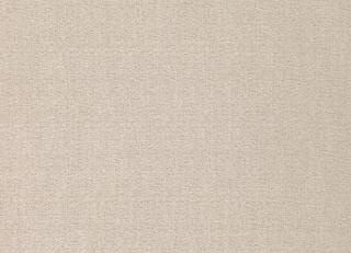 Фото - Ткани Zinc Jet Set - 456711>