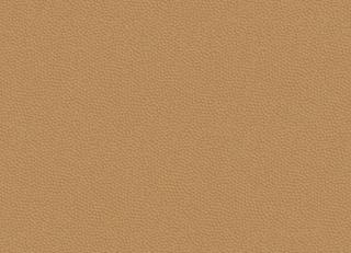 Фото - Обои Casadeco Belle Epoque - 454849>