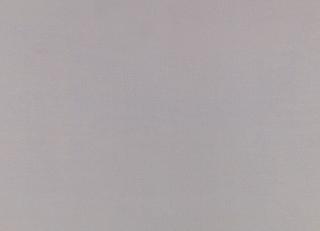 Фото - Ткани Zinc Ventus Sheers - 599863>