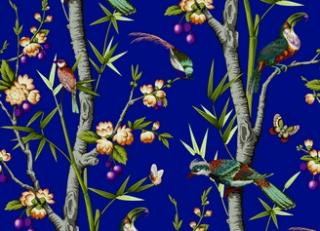 Фото - Обои Nobilis Grand Angle - 467278>