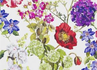 Фото - Обои Designers Guild Flowers volume 1 - 441818>