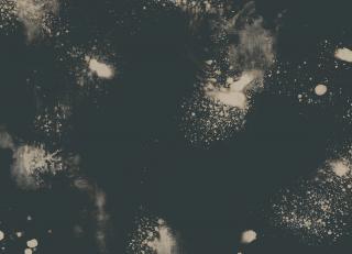 Фото - Обои Mayflower by Kt Exclusive Solaris - 349985>