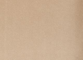 Фото - Ткани Foresti Home Collection Velluto di cotone Zeus - 563371>