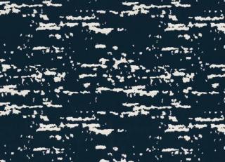 Фото - Ткани Camengo Evanescence - 609893>