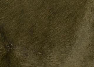 Фото - Аксессуары Pavoni Кожа Vitellina Pelo - 589046>