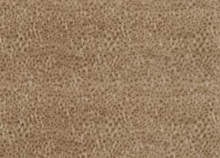 Фото - Ткани Zoffany Maze Fabrics - 390282>