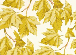 Фото - Обои Harlequin Sophie Robinson Wallpapers - 581989>