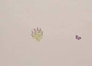 Фото - Обои Caselio Romarin - 231408>