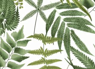 Фото - Обои Graham & Brown Explorer - 546258>