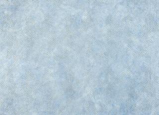 Фото - Ткани Designers Guild Trasimeno - 286171>