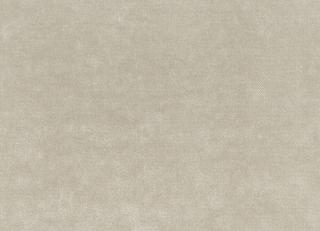 Фото - Ткани Dedar Plushy - 549826>