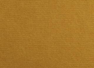 Фото - Ткани Antoine d'Albiousse Toile de Cocher - 480288>