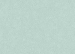 Фото - Обои Etten Manhattan - 308261>