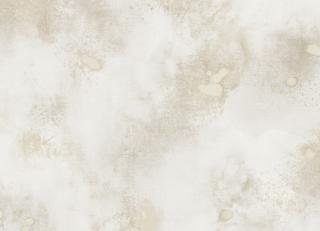 Фото - Обои Mayflower by Kt Exclusive Solaris - 350008>