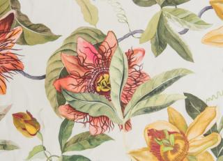 Фото - Ткани Titley and Marr Passion Flower and Garden Stripe - 389786>