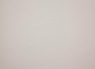 Фото - Ткани Alessandro Bini Eco leather - 438685>