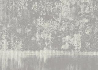 Фото - Обои Black Edition Mizumi Wallcoverings - 418771>