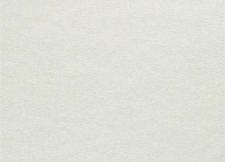 Фото - Ткани Designers Guild Satinato II - 261262>