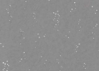 Фото - Обои Villa Nova Kyra Cane Wallcoverings - 542025>